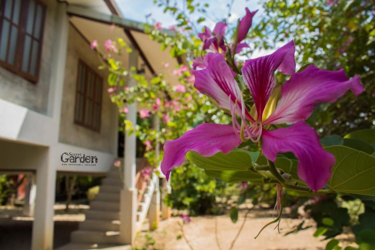 מלון באן תאי Secret Garden מראה חיצוני תמונה